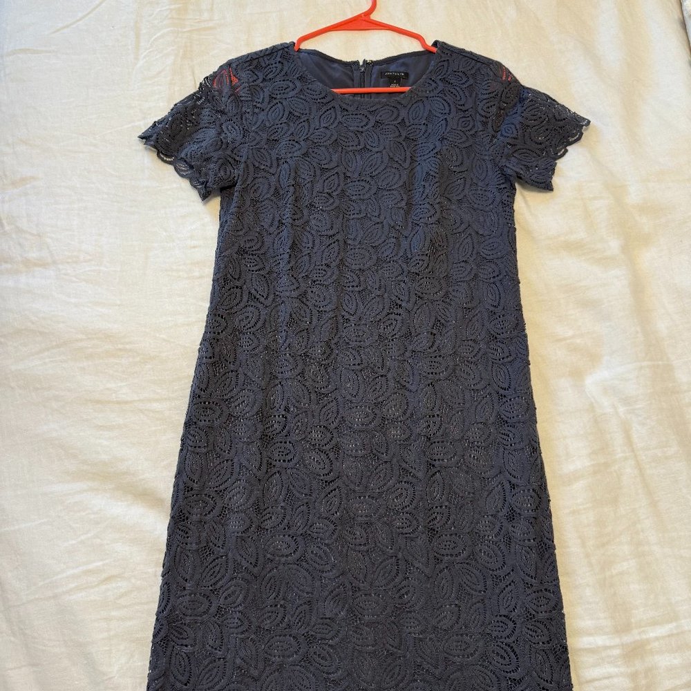 Ann Taylor Navy Blue Lace Sheath Dress - Size 2